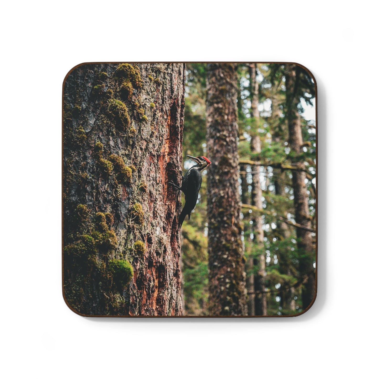 Woodpecker’s Buffet Coaster