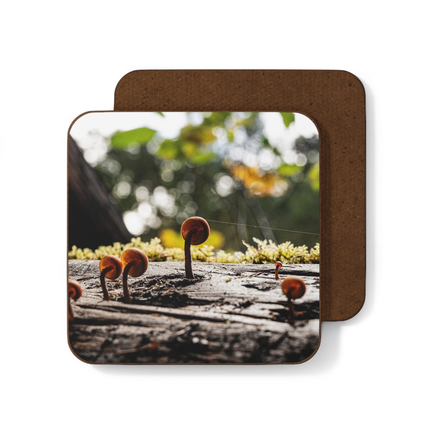 Tightrope Coaster