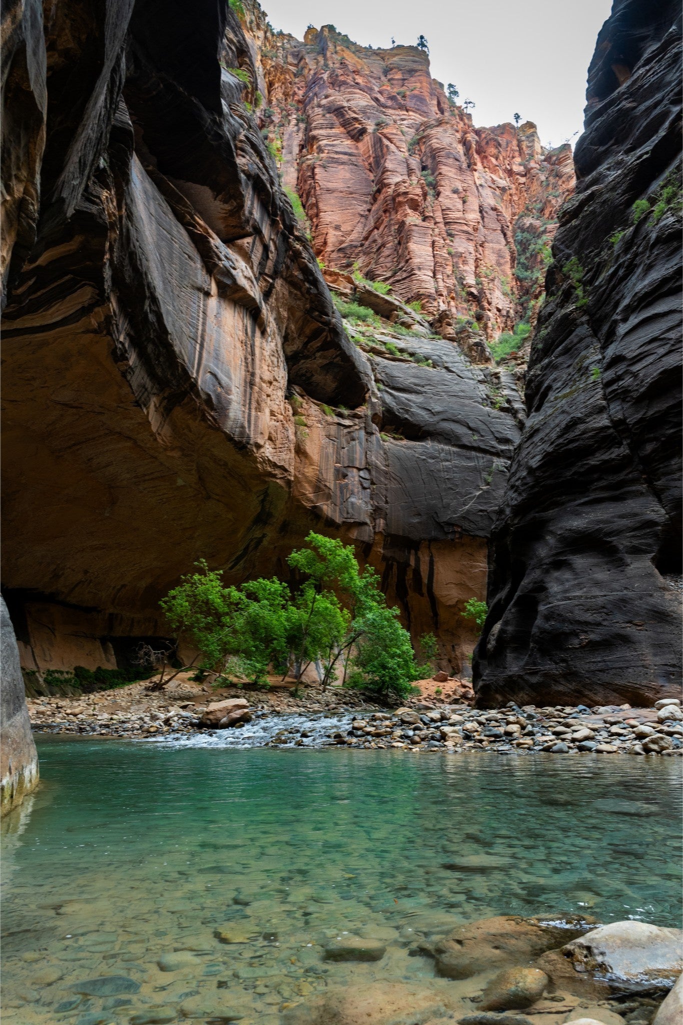 Journey in the Narrows