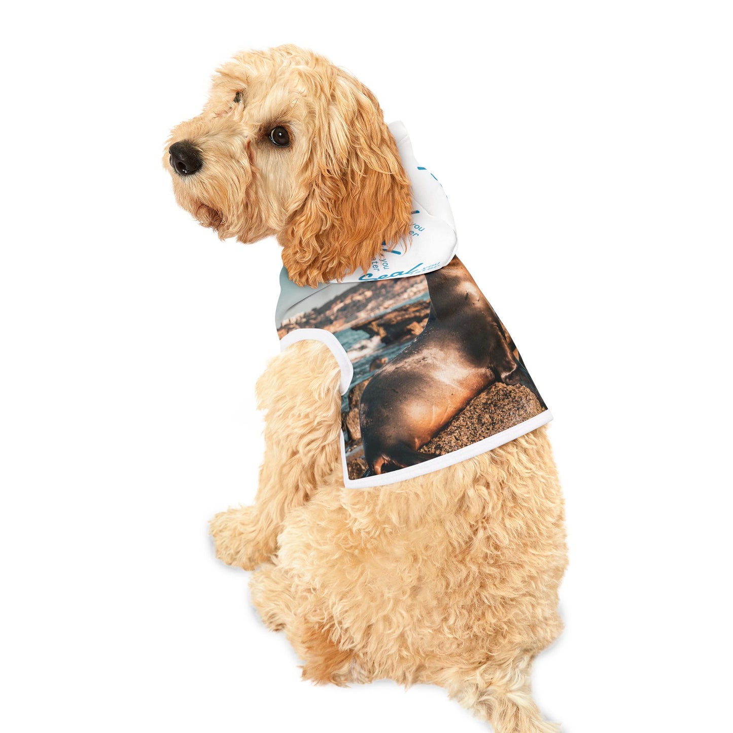 Seal You Later Pet Hoodie