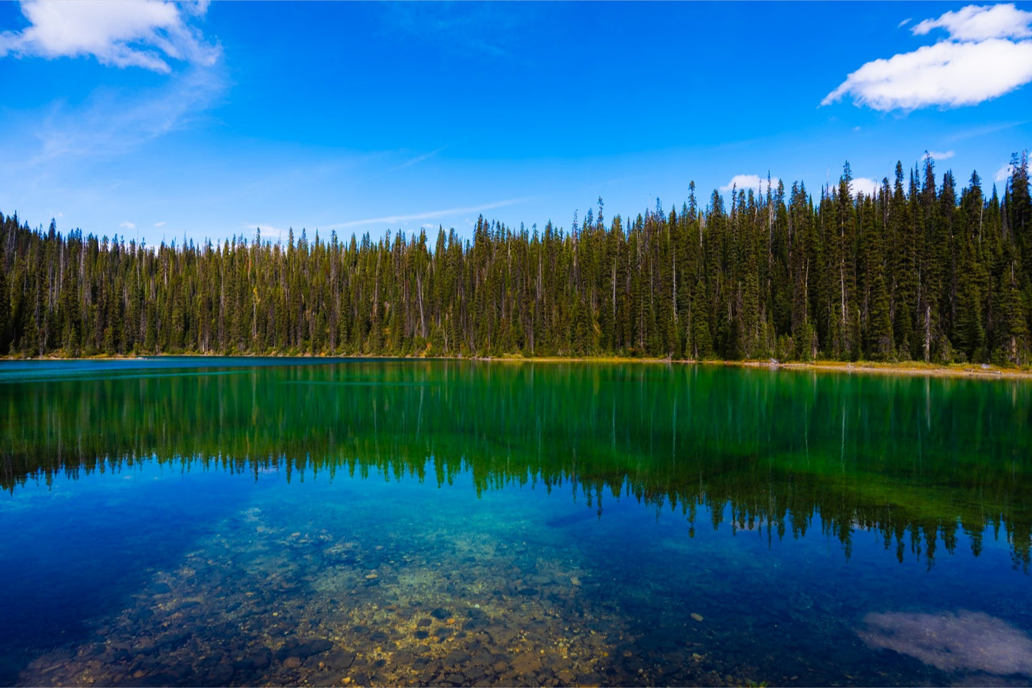 Yoho Lake