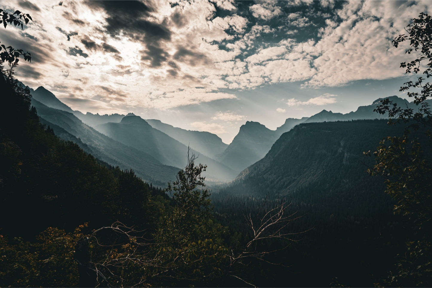 Going to the Sun Road