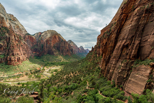 Angels Landing: Zion National Park