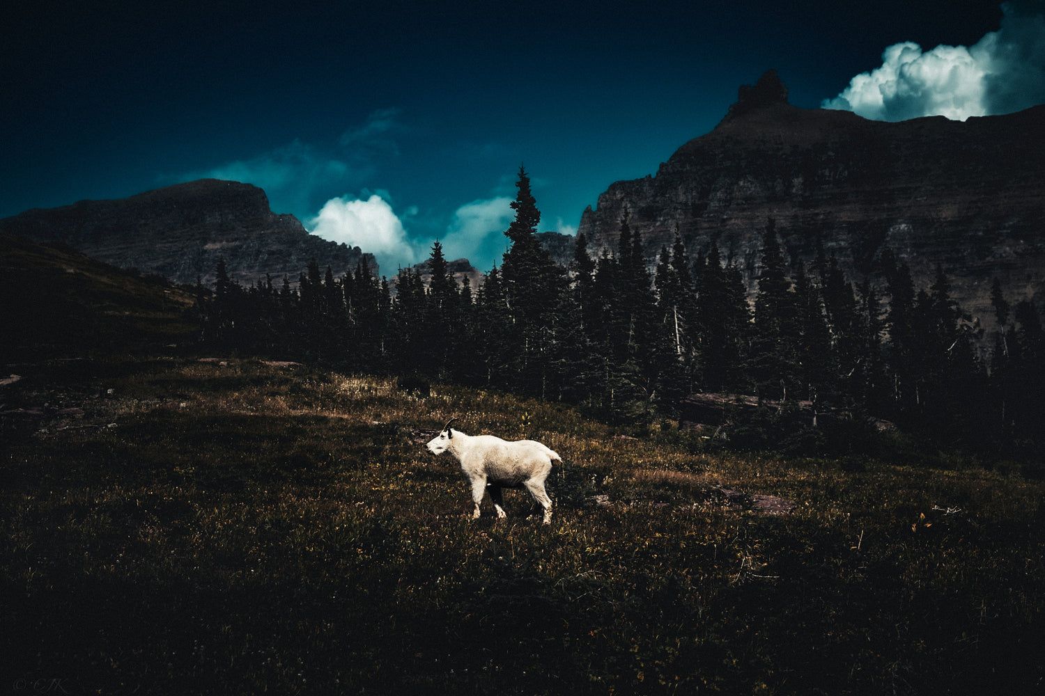 Glacier