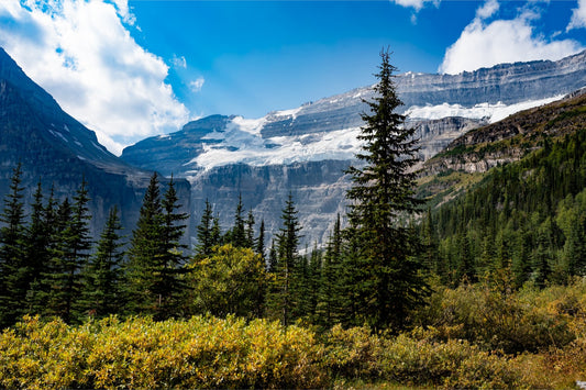 Plain of Six Glaciers