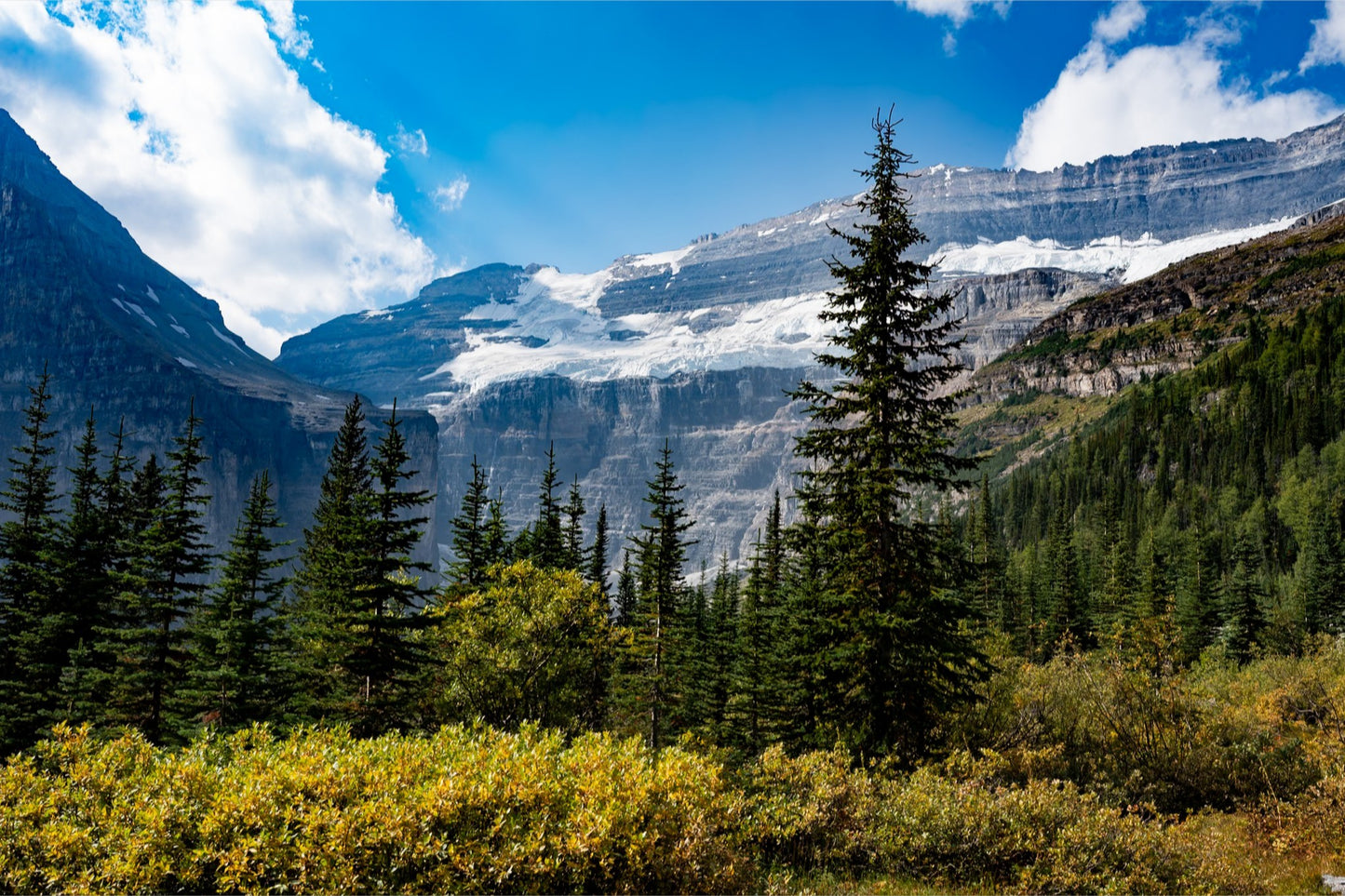 Plain of Six Glaciers