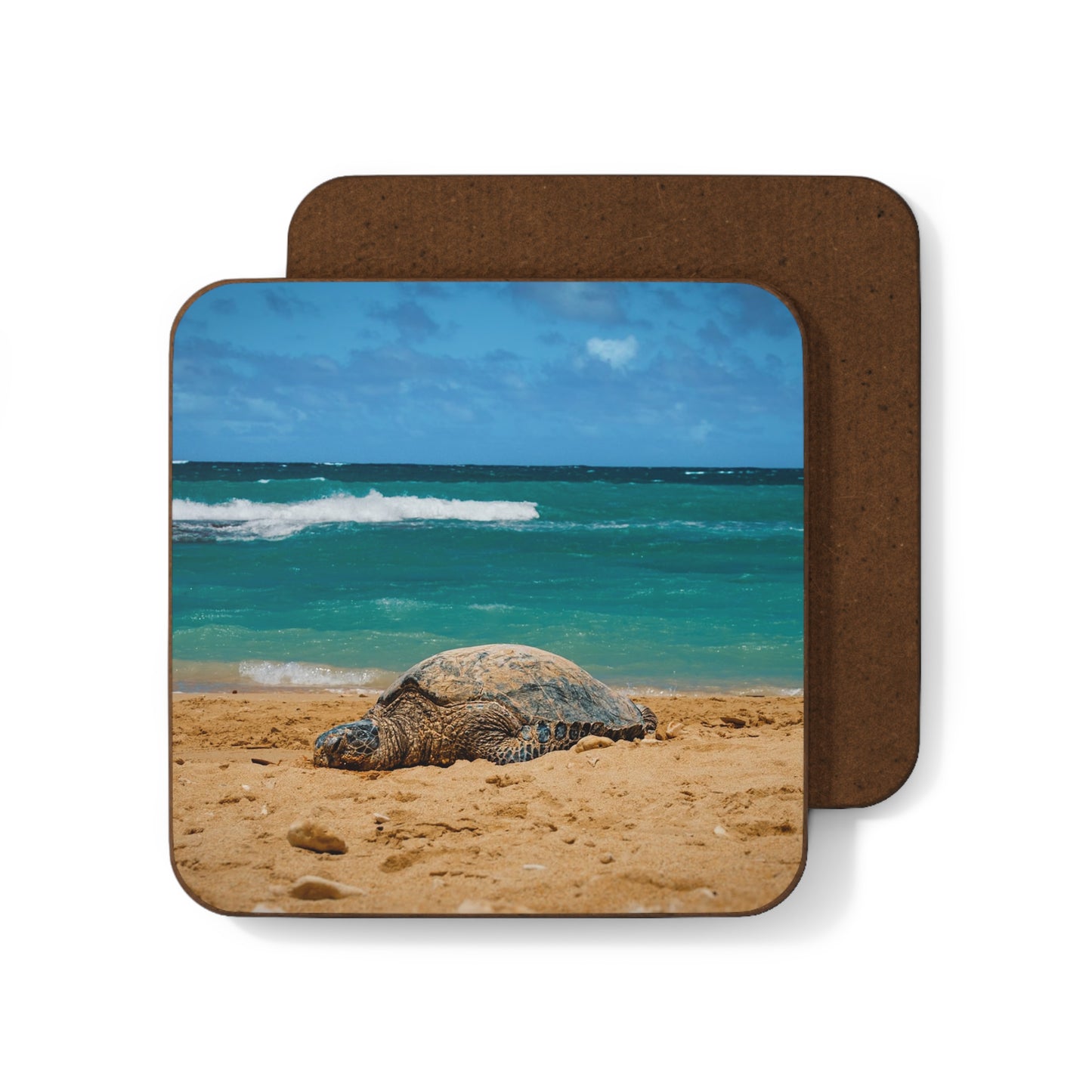 Sea Turtle Coaster