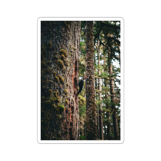 Woodpecker’s Buffet - Sticker