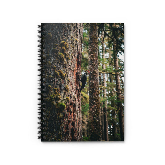 Woodpecker’s Buffett - Spiral Notebook