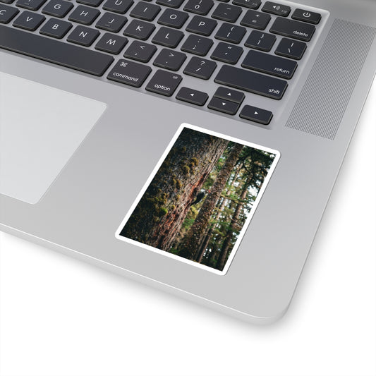 Woodpecker’s Buffet - Sticker