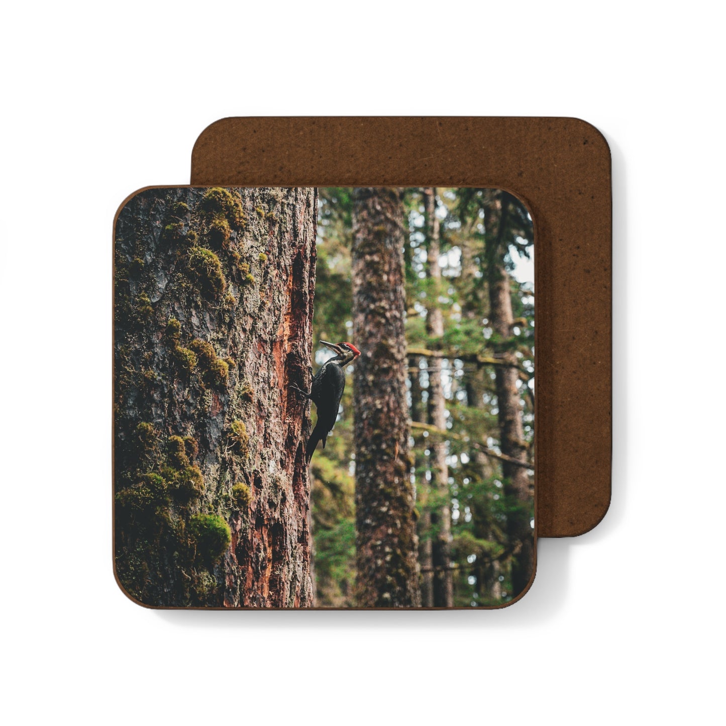 Woodpecker’s Buffet Coaster