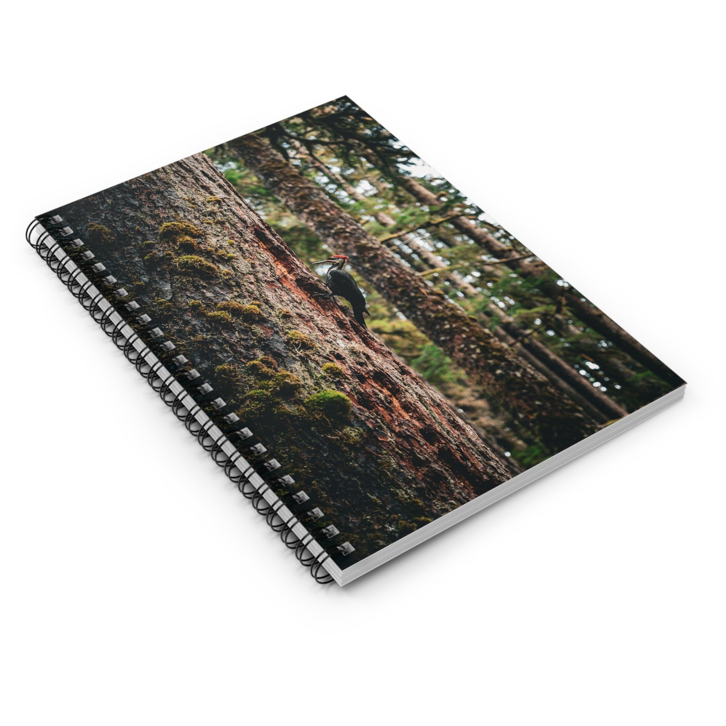 Woodpecker’s Buffett - Spiral Notebook