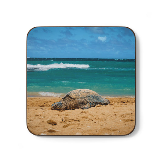 Sea Turtle Coaster