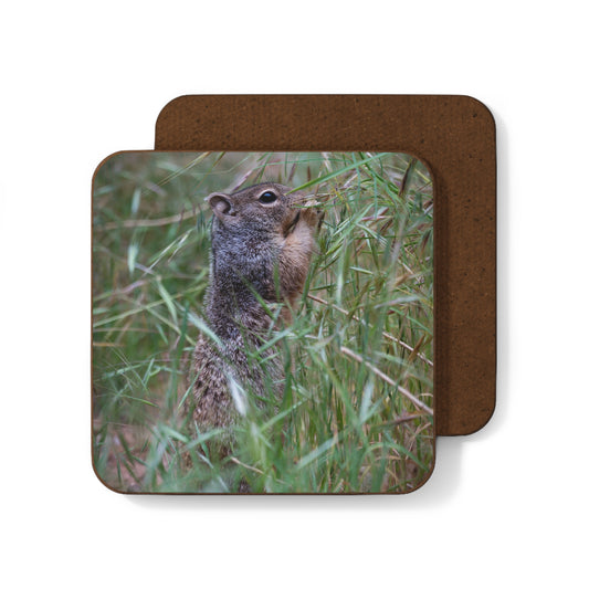 Lunchtime Coaster