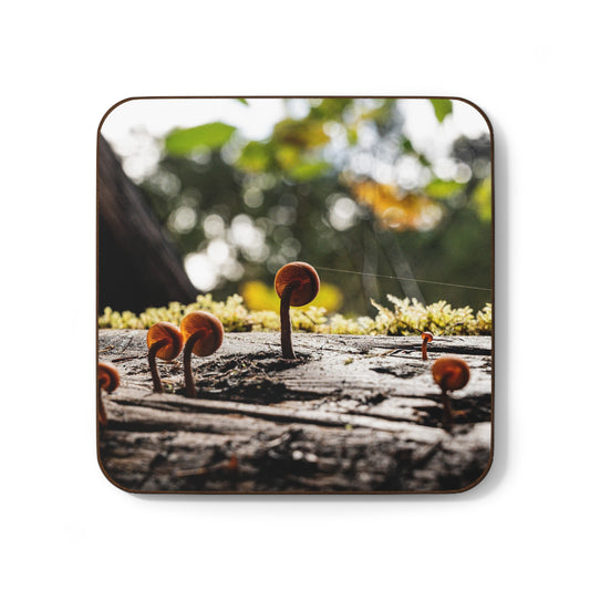 Tightrope Coaster
