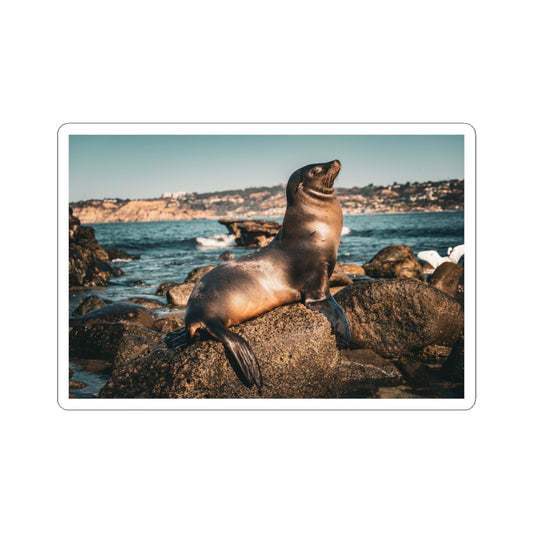 Seal in San Diego - Sticker