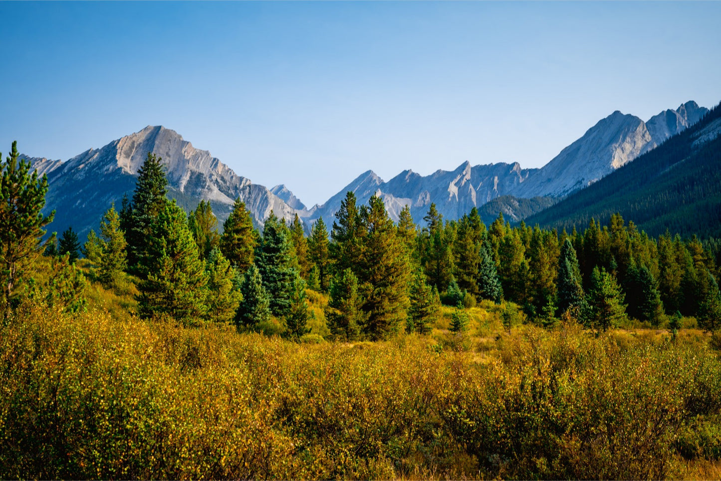 Mountain's Edge