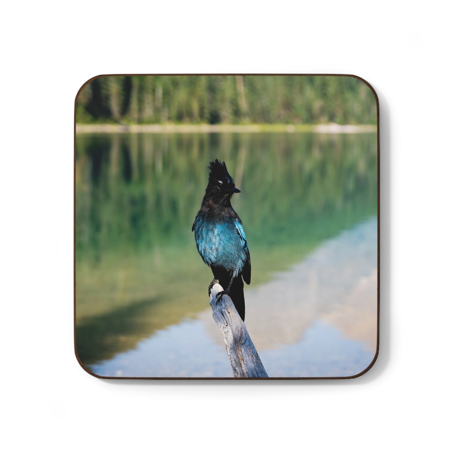 Blue Bird Coaster