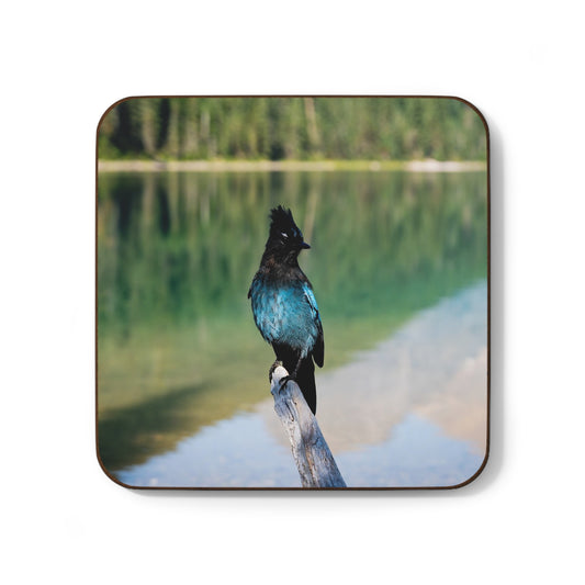 Blue Bird Coaster