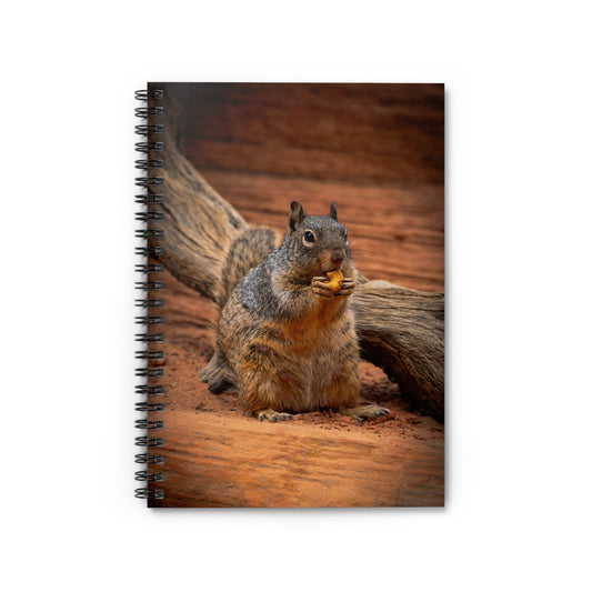 Squirrel’s Nut - Spiral Notebook
