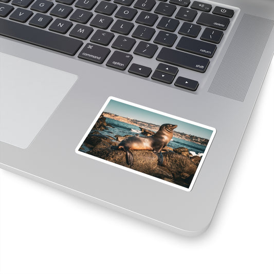 Seal in San Diego - Sticker