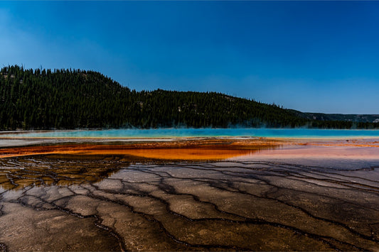 Prismatic Spring Rainbow