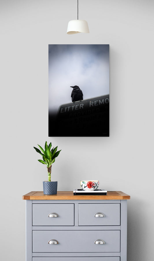 Raven’s Perch