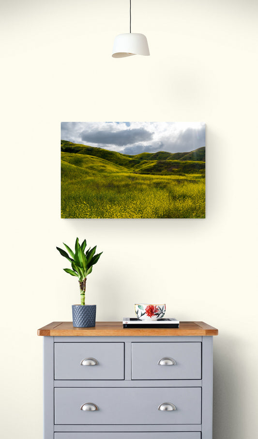 Golden Hills
