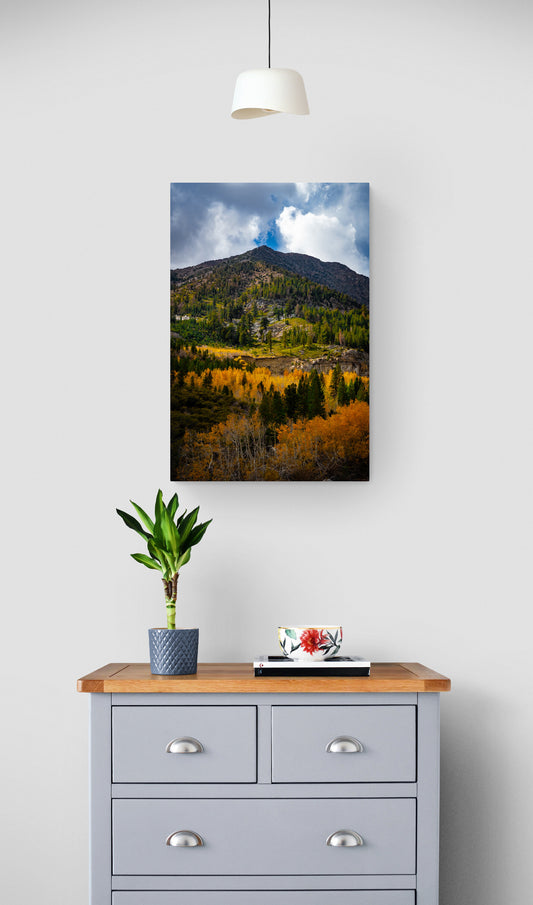 Fall on the Horizon