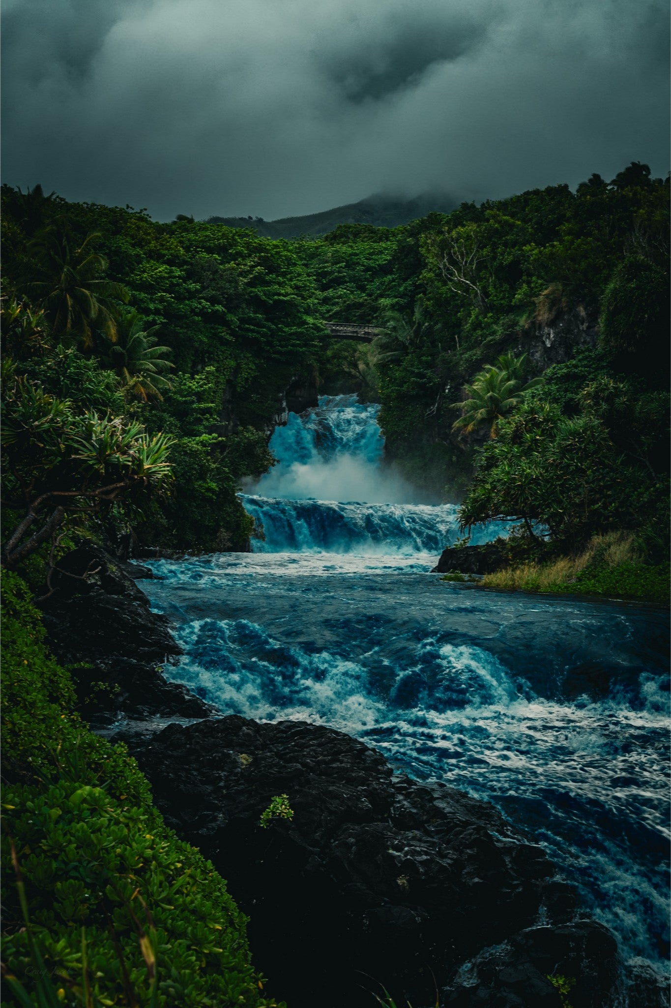 Pools of ‘Ohe’o