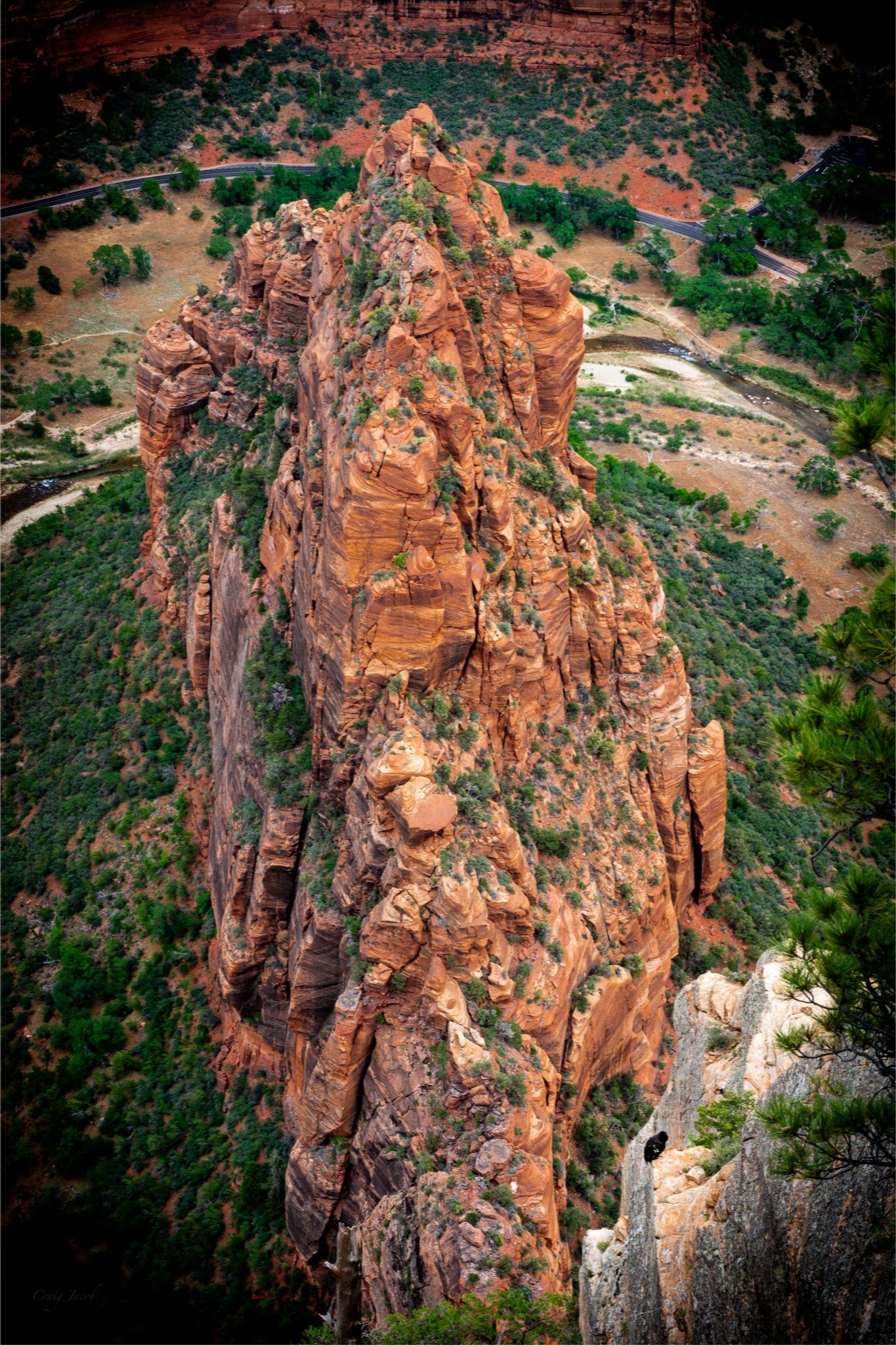 Condors Landing