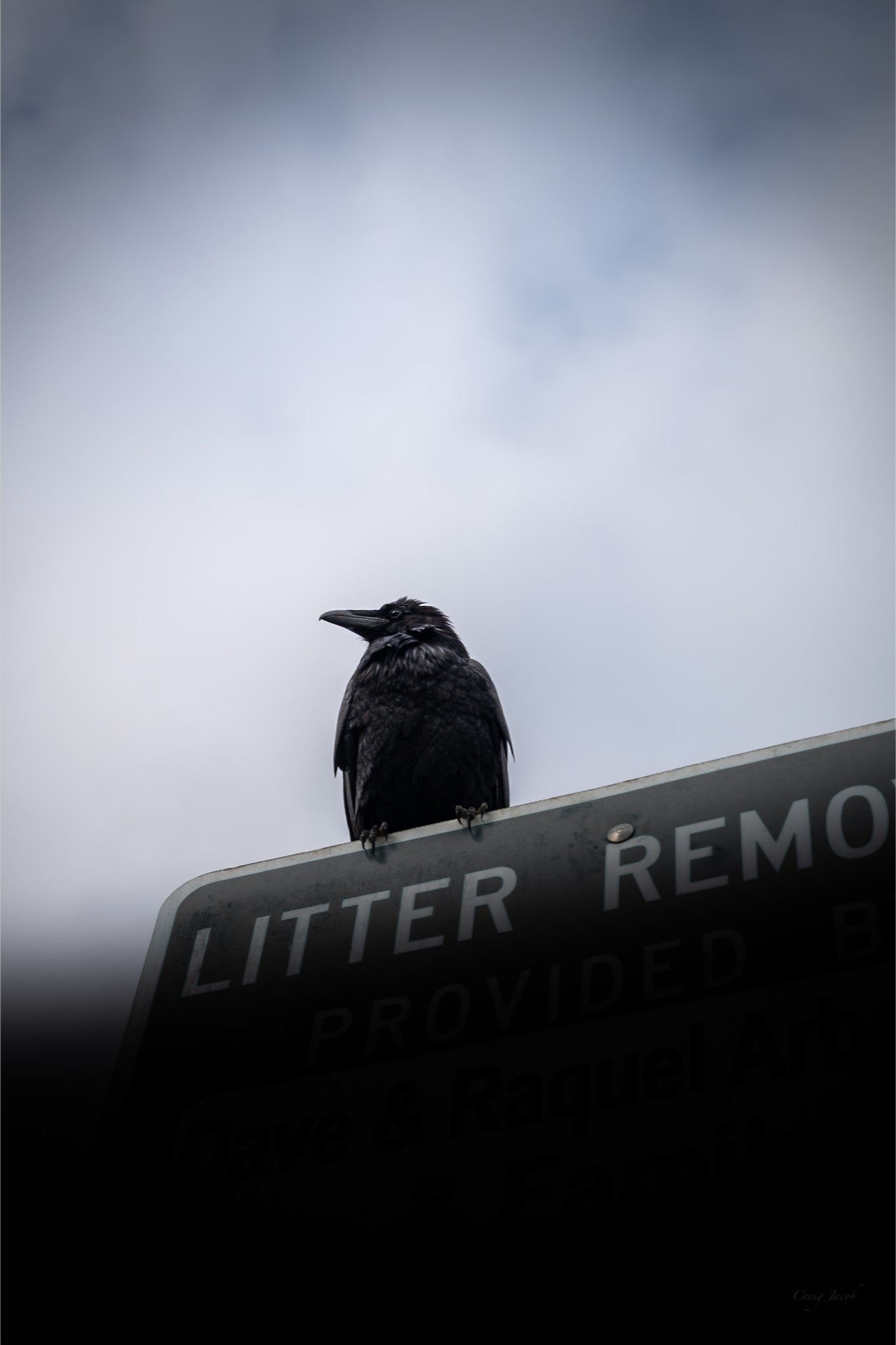 Raven’s Perch