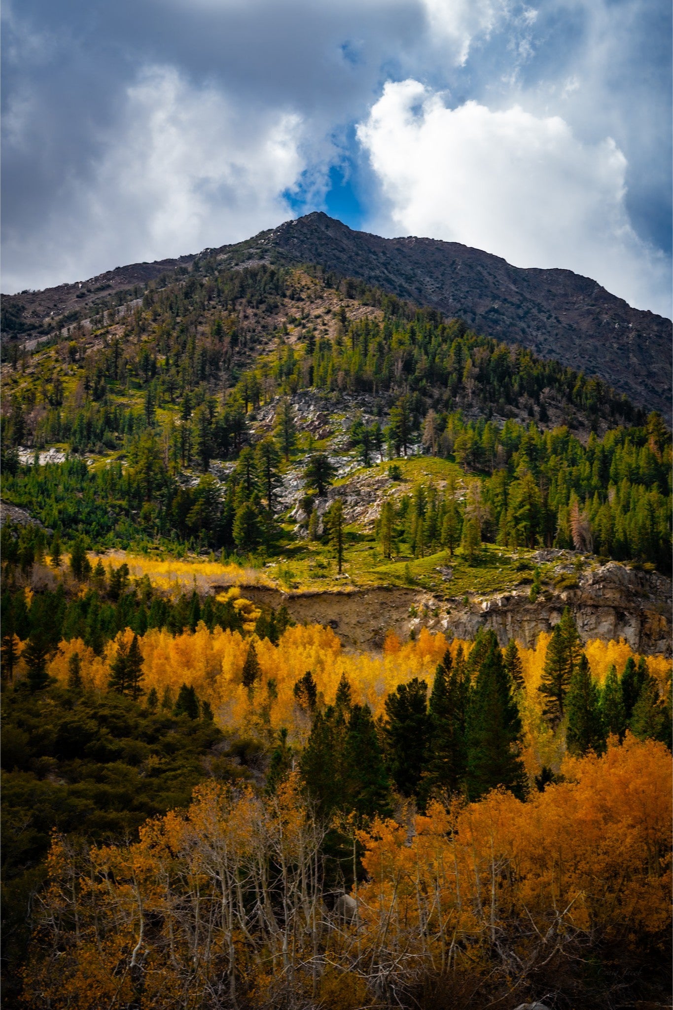 Fall on the Horizon
