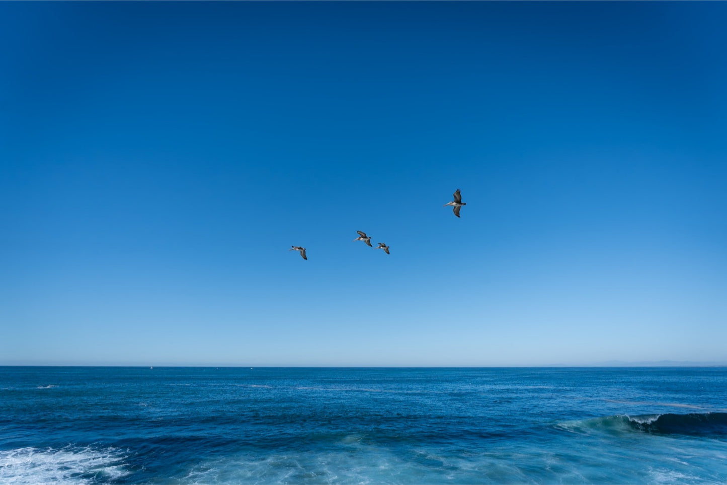 Flying High