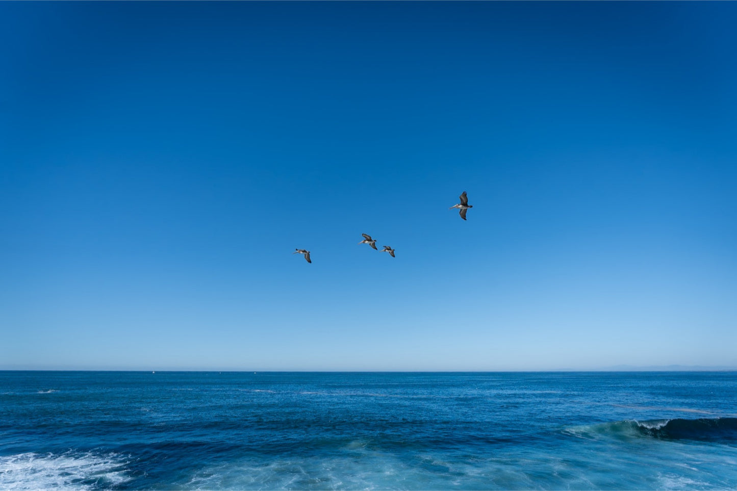 Flying High